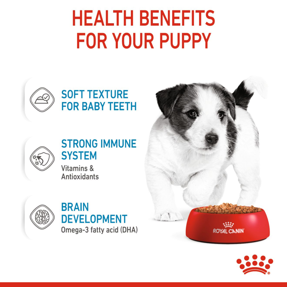 Royal Canin Mini Puppy Gravy Dog Wet Food image 5