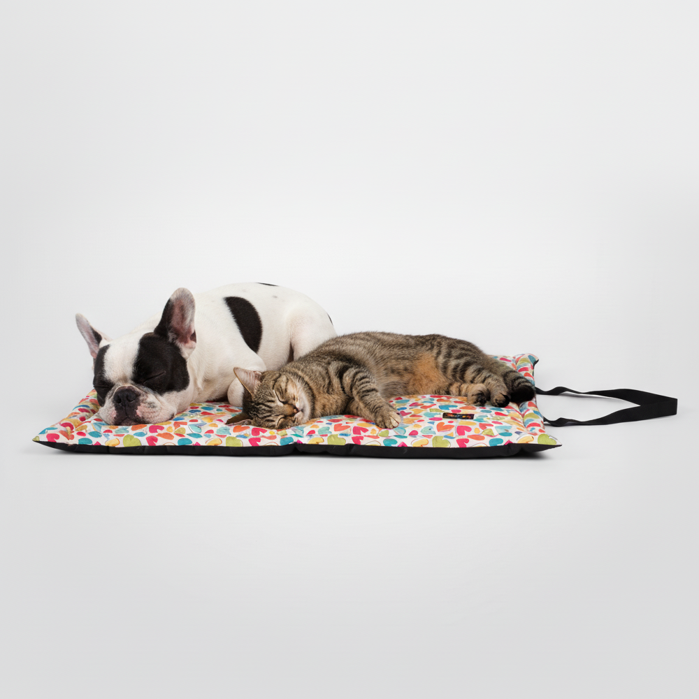 Skatrs Cozy Love Printed Mats for Dogs and Cats