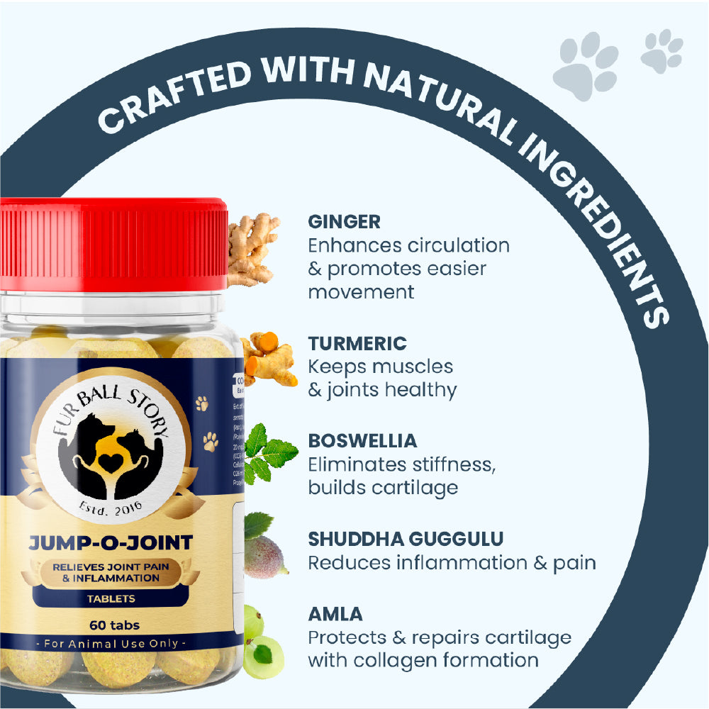 FurBall Story Jump O Joint Care tablets for Dogs and Cats image 5