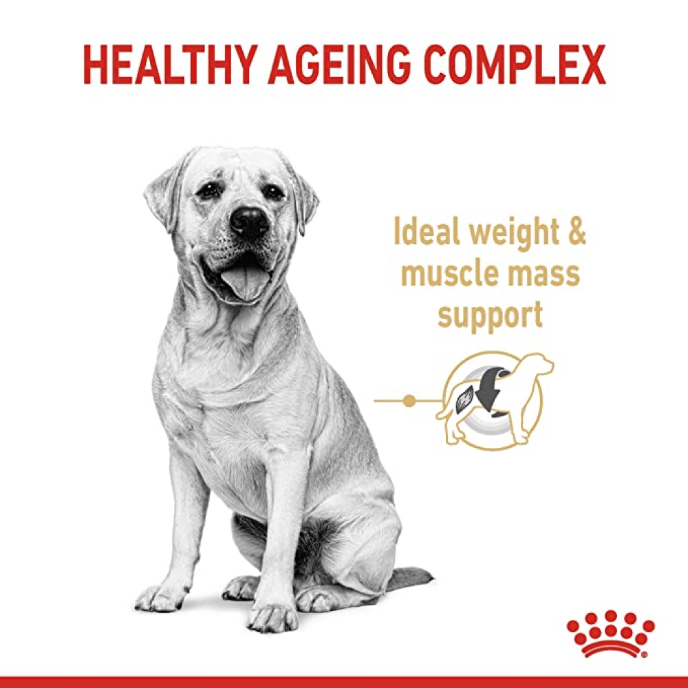 Royal Canin Labrador Retriever Adult Dog Dry Food for 5+ years of age image 2