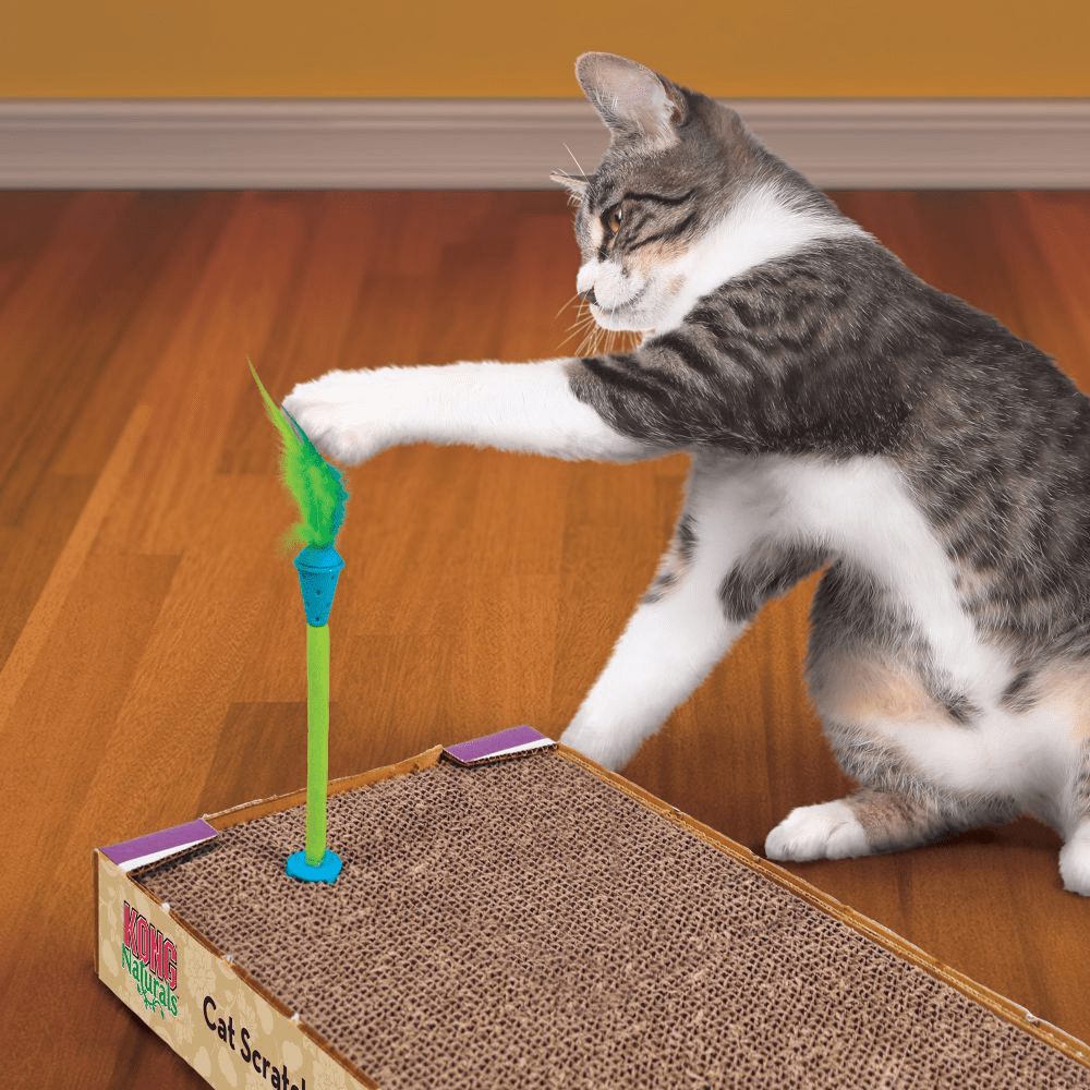 Kong Connects Scratch Toy With Catnip Inside for Cats (Sky Blue) image 3