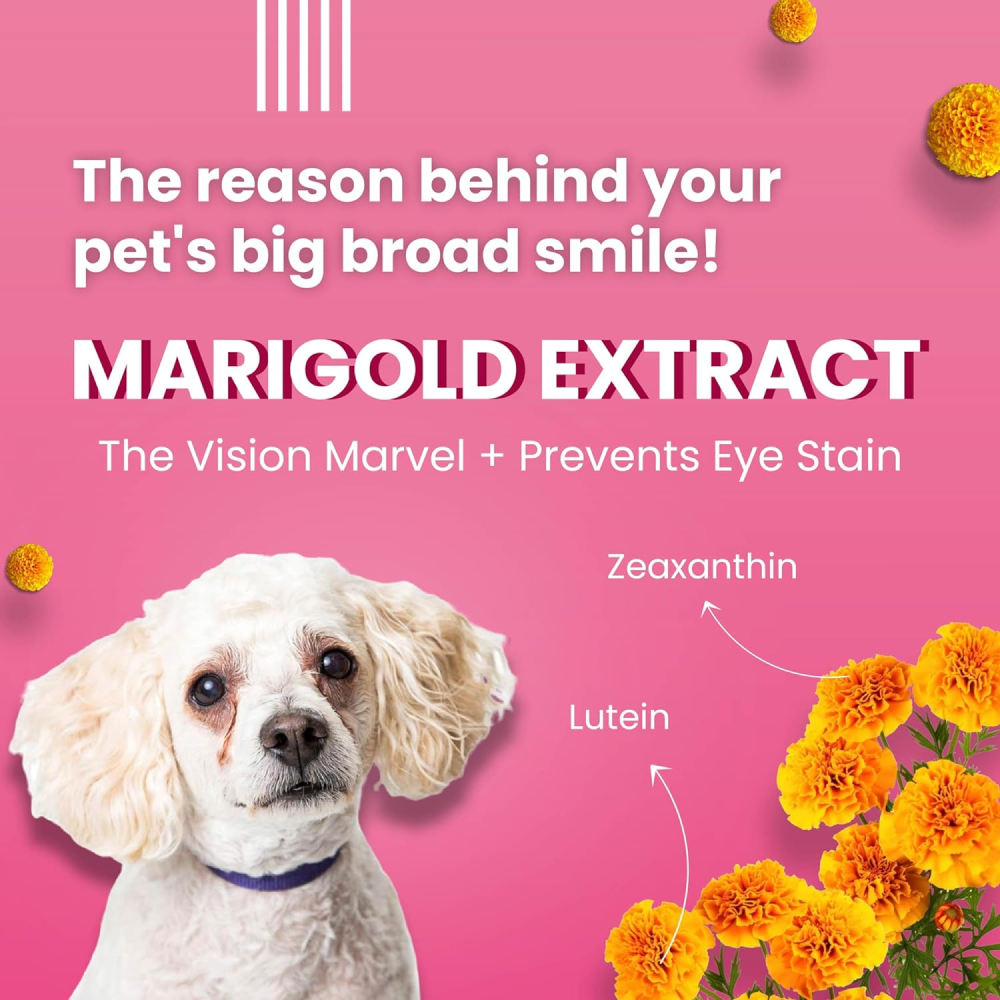 Bark Out Loud Tear Stains Eyebright Chew Stix Dog Treats image 2