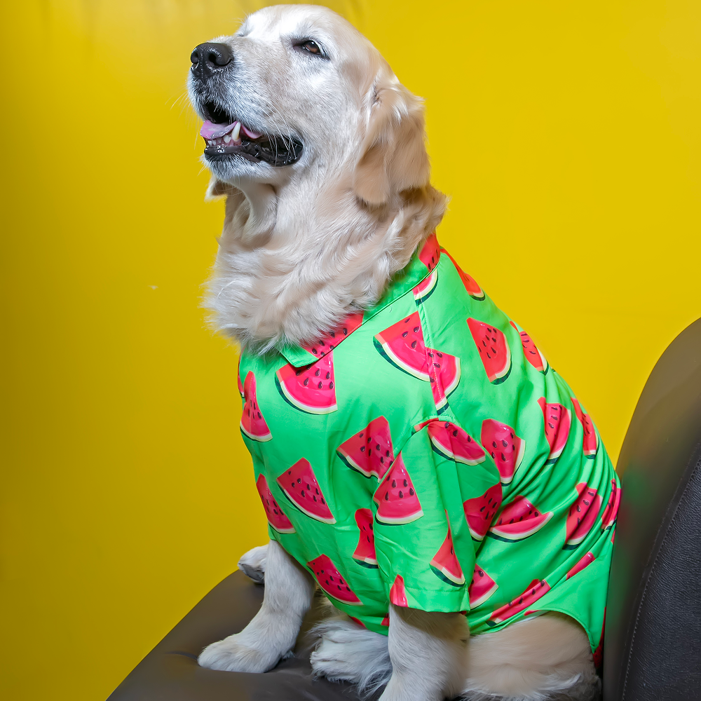 15buttons Watermelon Shirt for Dogs image 6