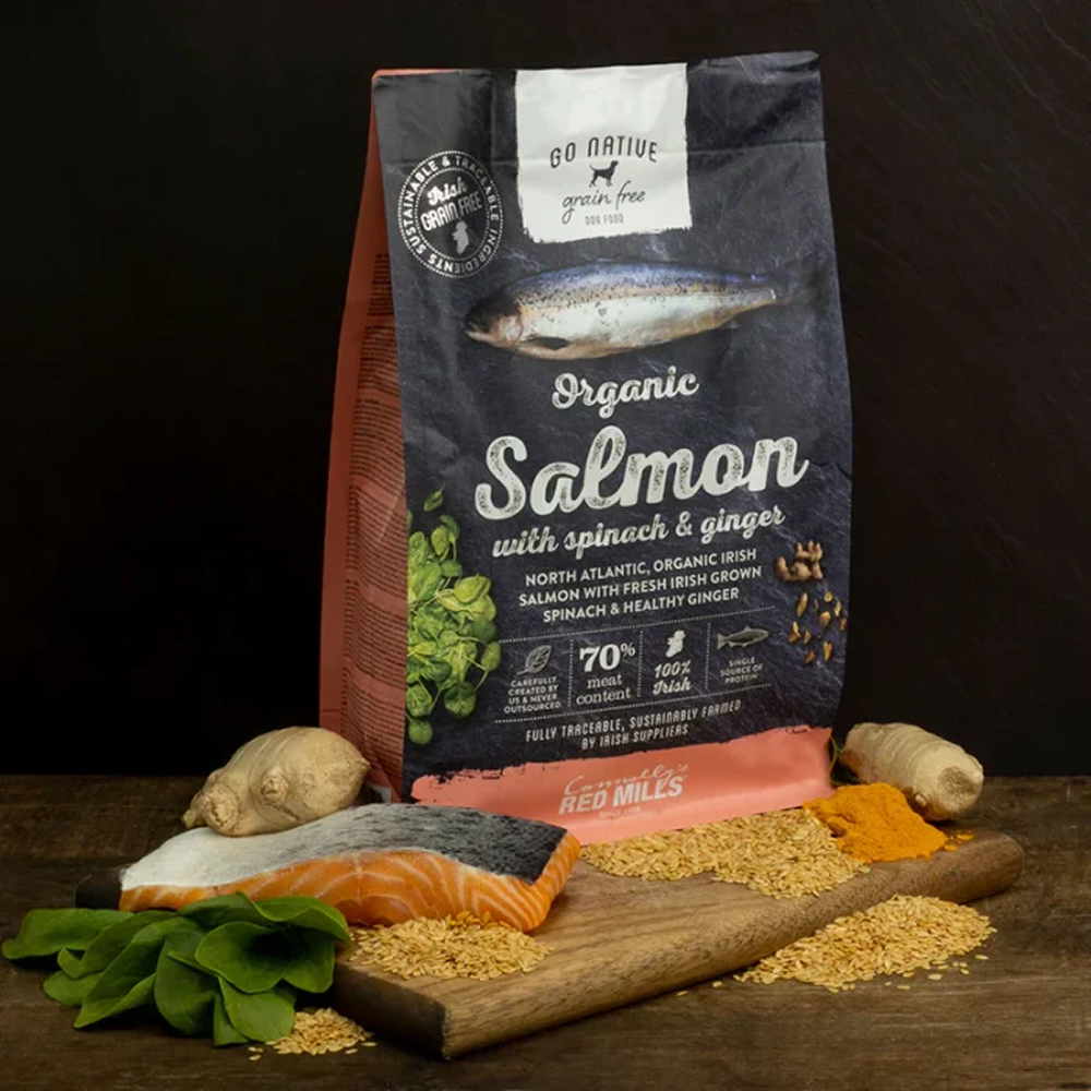 Go Native Salmon with Spinach & Ginger Adult Dog Dry Food