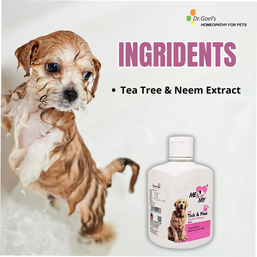 Dr Goel's Me & My Anti Ticks & Flea Shampoo for Dogs and Cats image 4