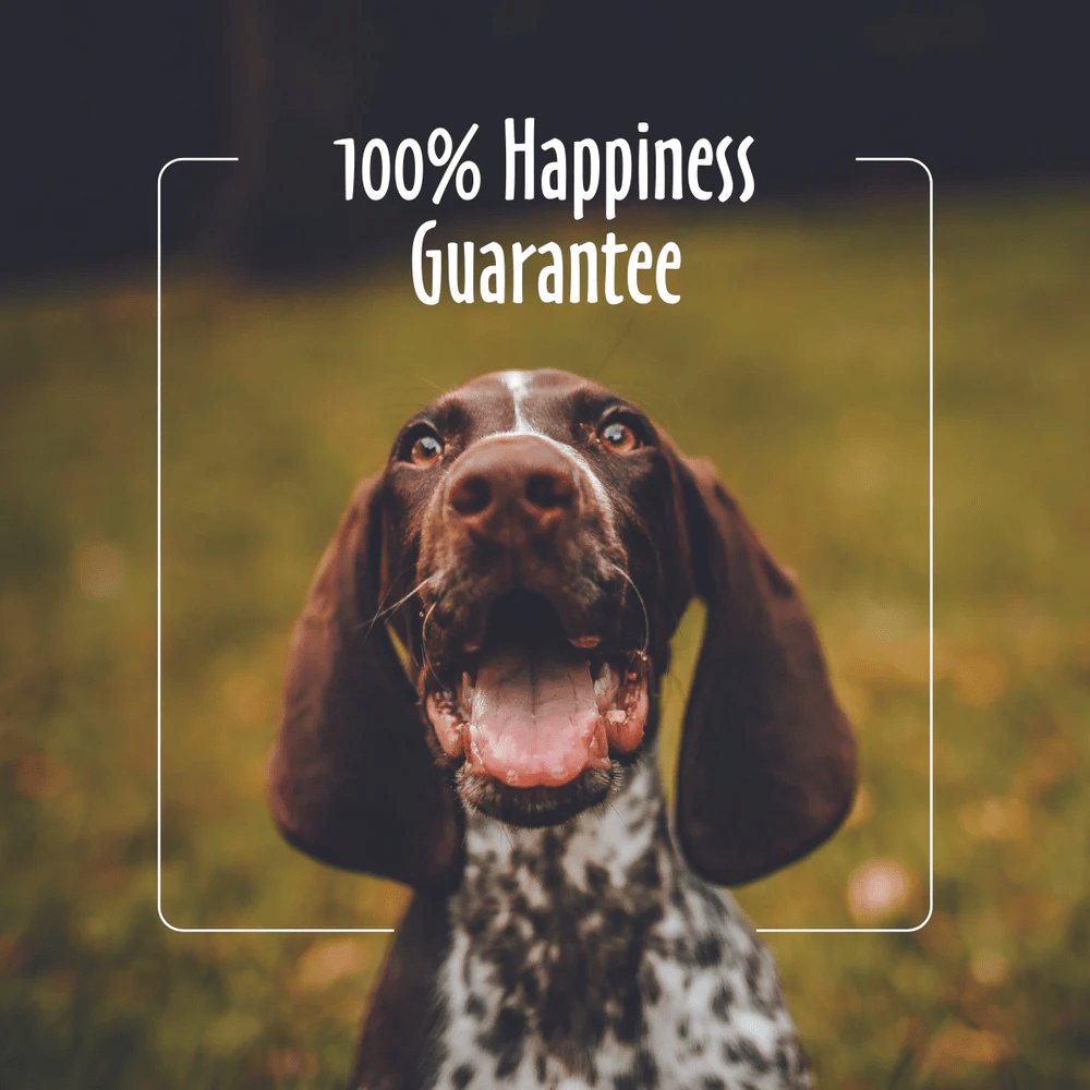 EarthBath Oatmeal & Aloe Shampoo Vanilla & Almond for Dogs and Cats image 9