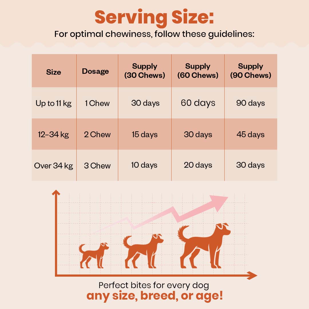 TailsAlive Skin & Coat Soft Chews Supplement for Dogs image 8