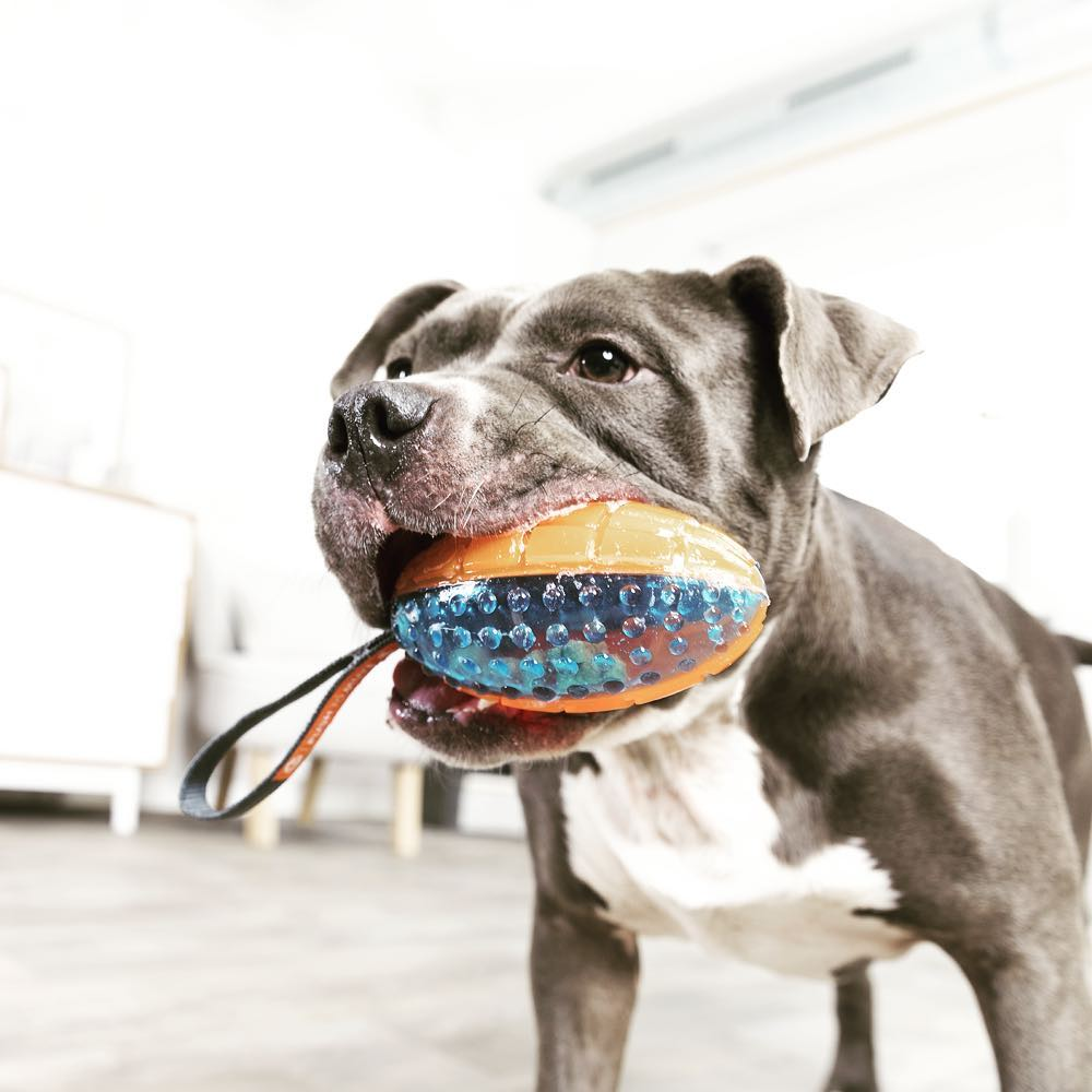 Trixie Push To Mute Rubber Rugby Ball on Rope Toy for Dogs (Orange/Blue) image 5