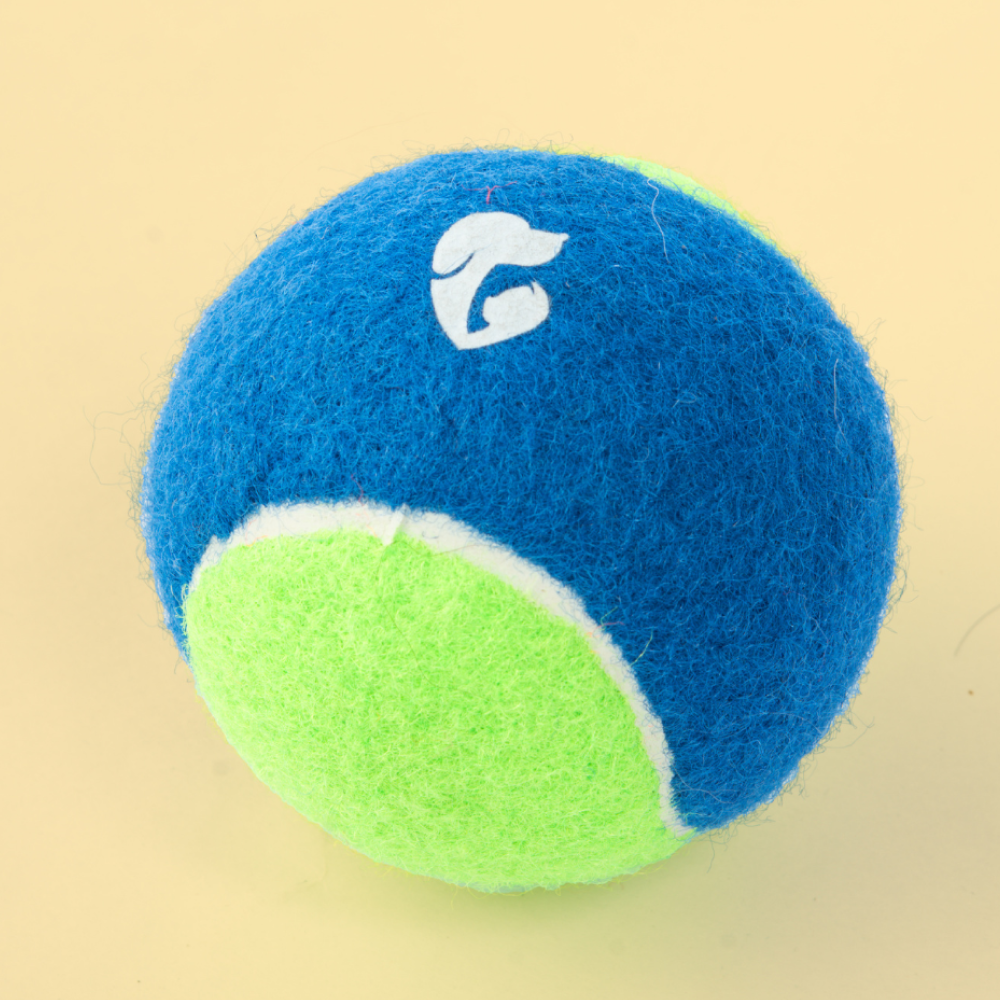 Pet Set Go Squeak Ball Toy for Dogs (Blue)