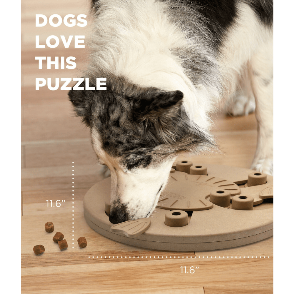 Outward Hound Nina Ottosson Dog Worker Slide Cups and Twist Flaps Toy for Dogs (Level 3 Advanced) image 5