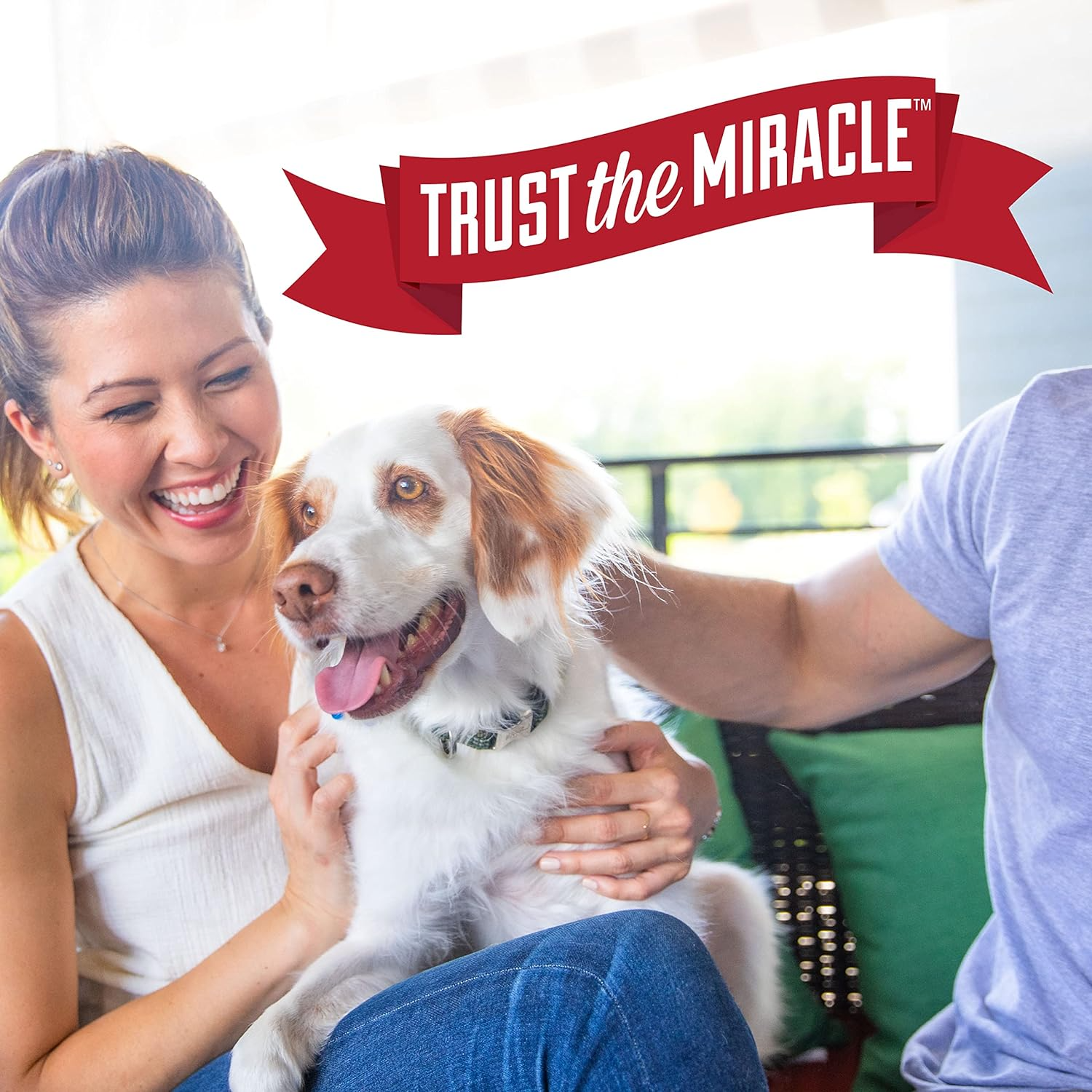 Nature’s Miracle Urine Destroyer Plus for Dogs image 10