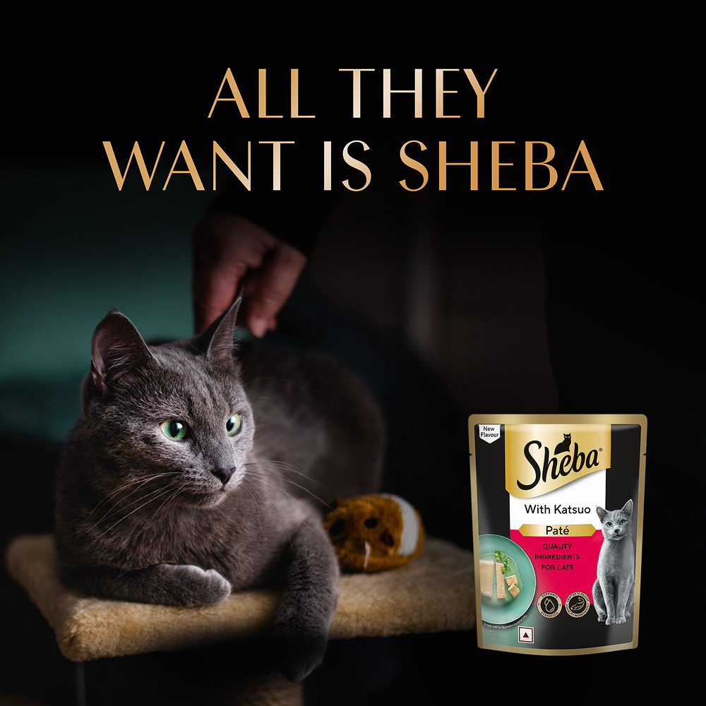Sheba Katsuo Pate Rich Premium Adult Fine Cat Wet Food image 10