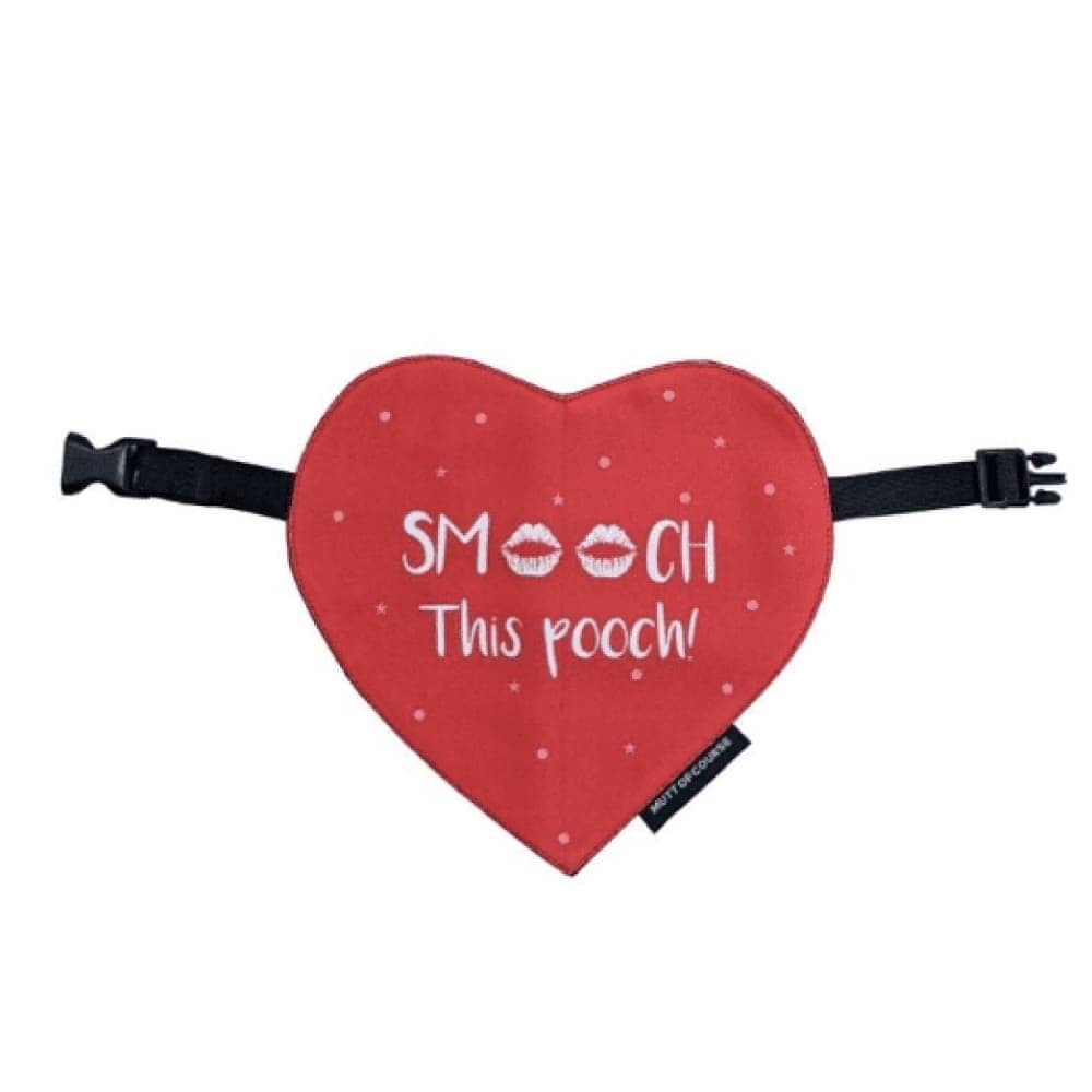 Mutt of Course Smooch This Pooch Bandana for Dogs (12-18in Neck) Special Offer