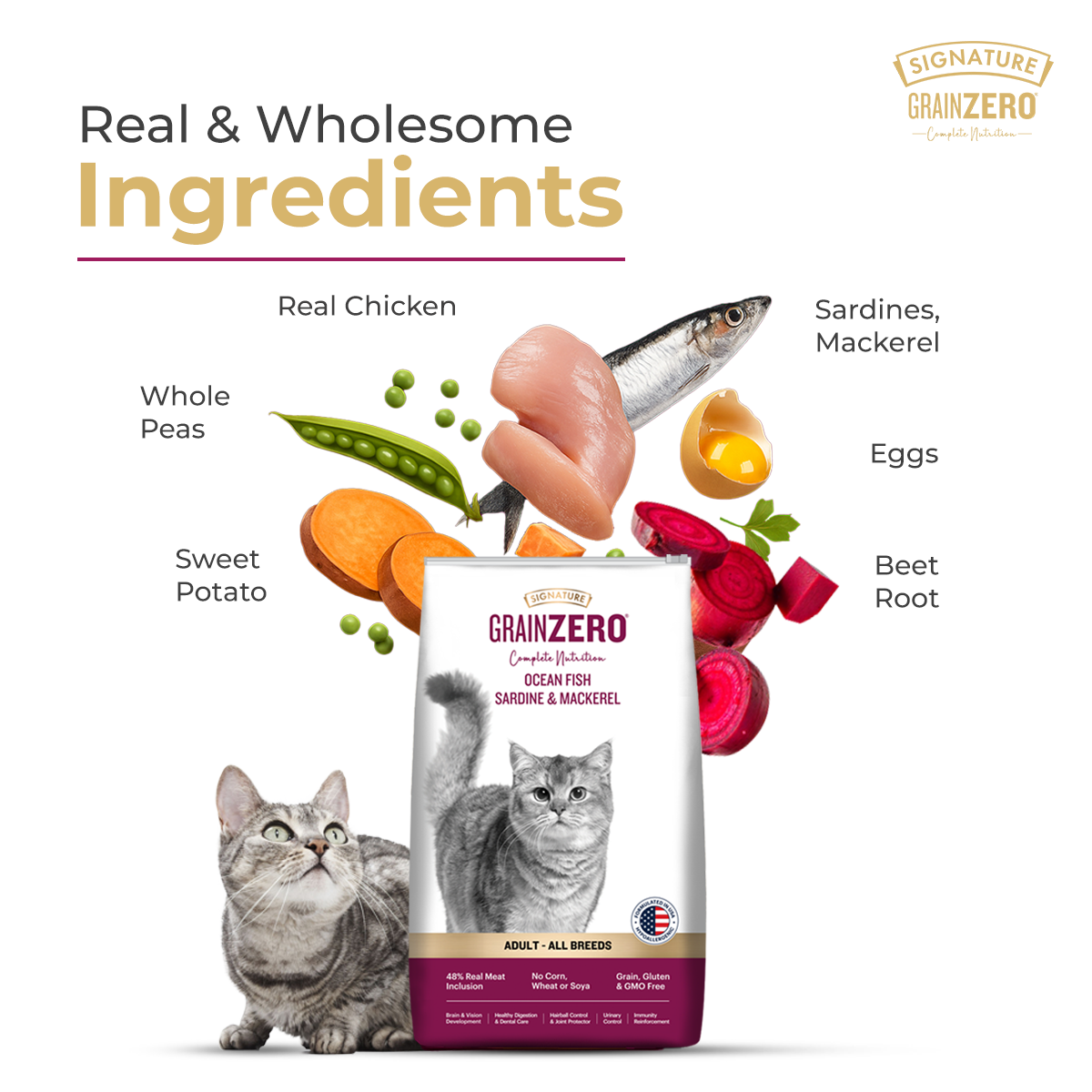Signature Grain Zero Ocean Fish, Sardine and Mackerel Adult Cat Dry Food image 5