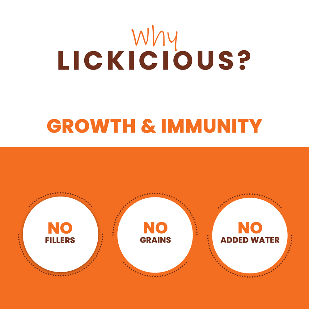 Lickicious Healthy Growth and Immunity Chewy Stick Dog Treats image 4