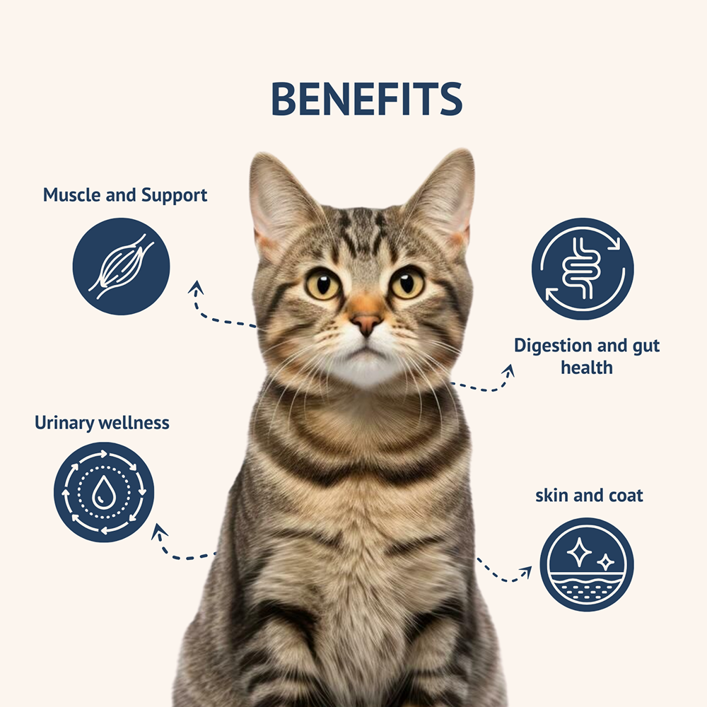 Goofy Tails Mackerel & Chicken Cat Meals image 2