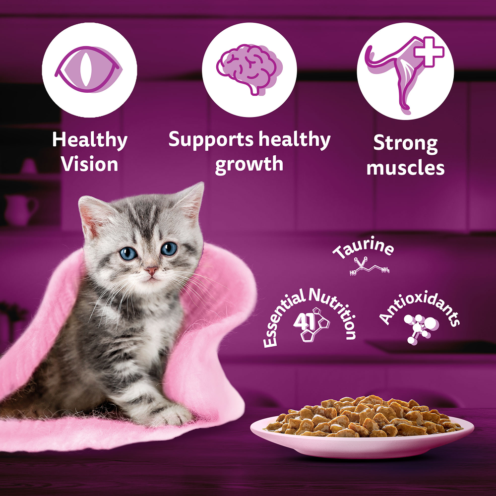Whiskas Chicken in Gravy Meal Kitten Cat Wet Food image 7