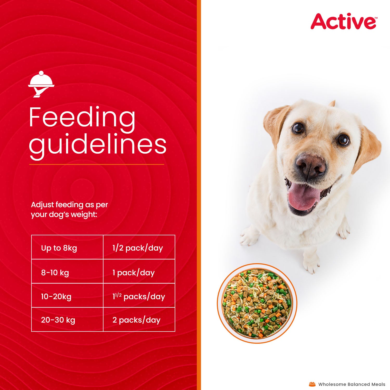 Active Chicken and Pumpkin Biryani Fresh Food For Dogs (Buy 1 Get 1) image 7