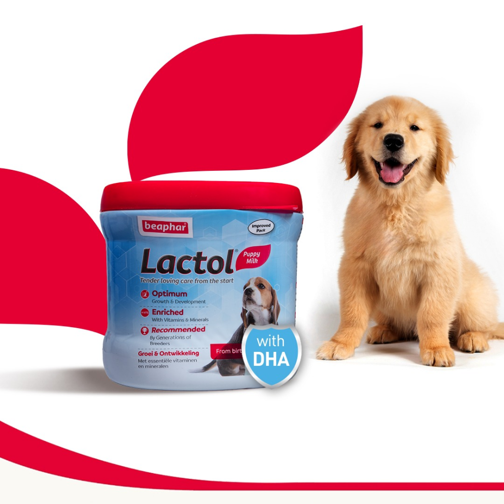 Beaphar Lactol New Born Milk Replacement Powder for Puppies image 7