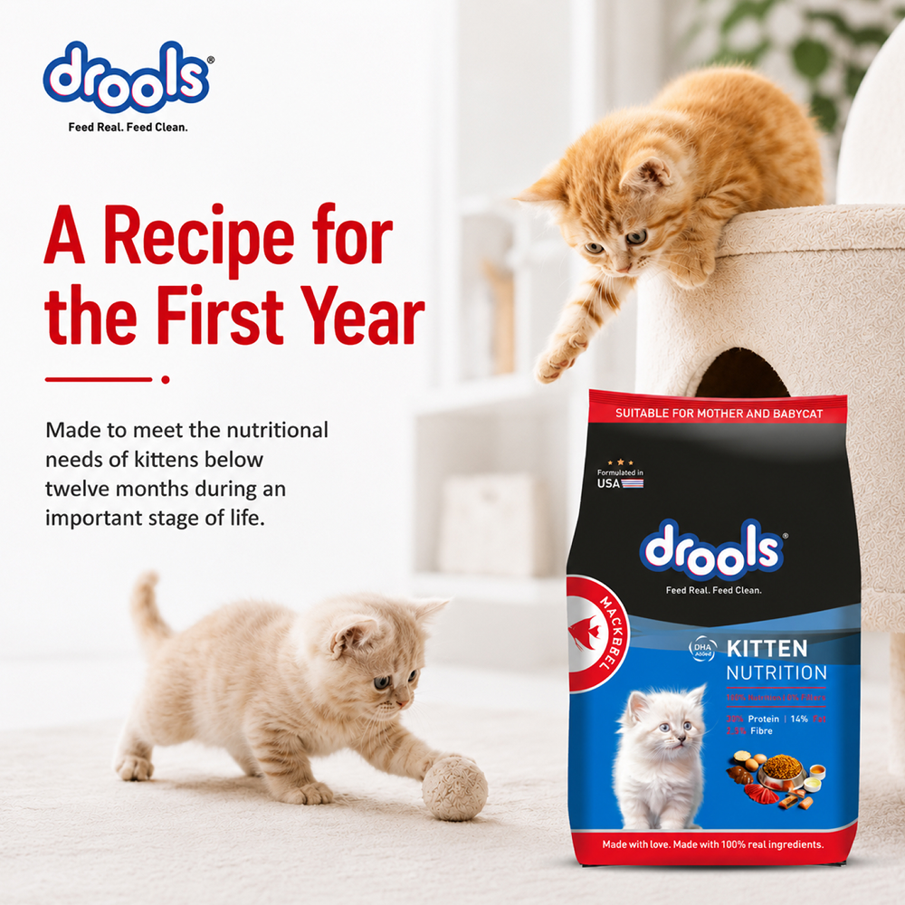 Drools Mackerel Kitten (1 to 12 Months) Cat Dry Food image 9
