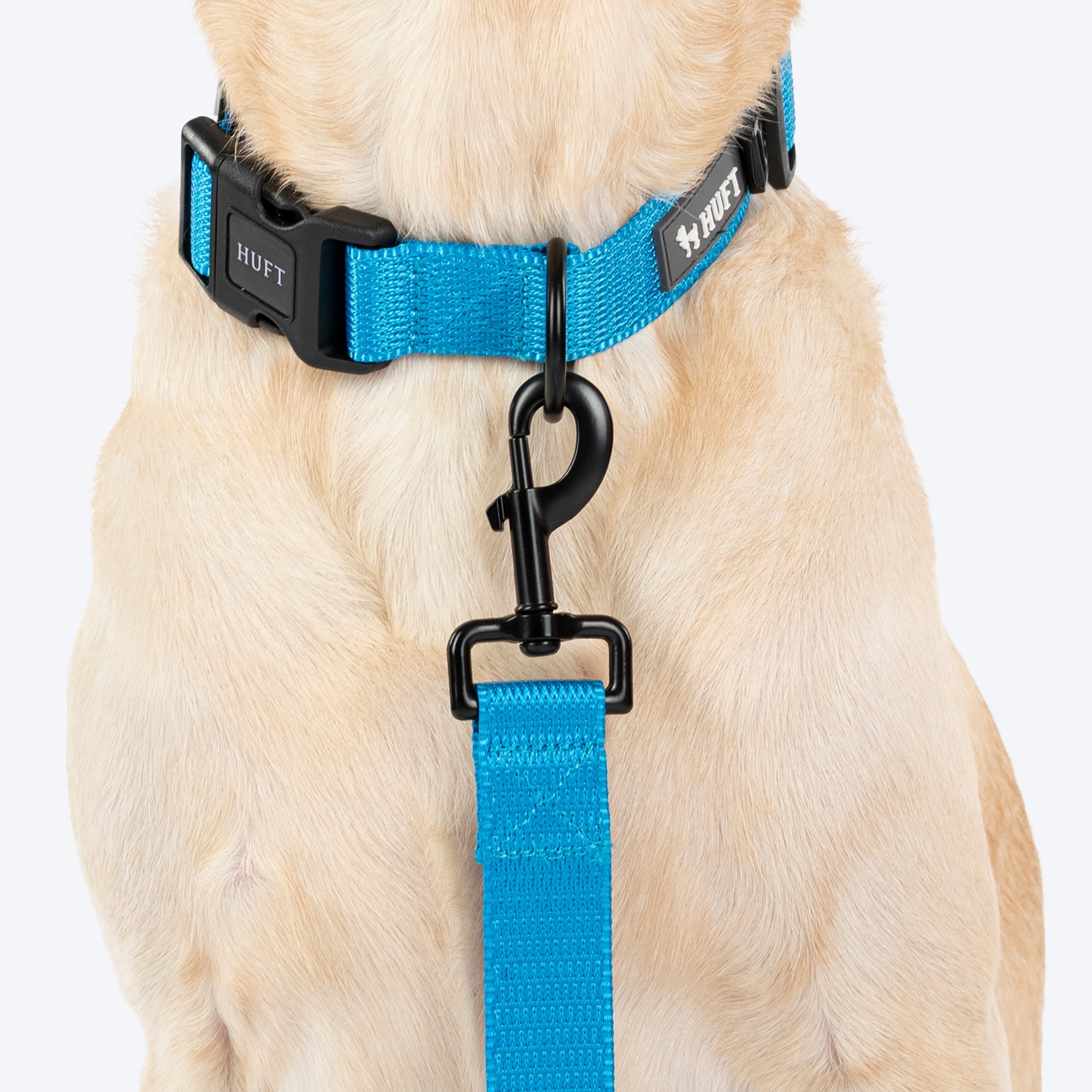 HUFT Classic Leash for Dogs (Ocean Blue) image 5