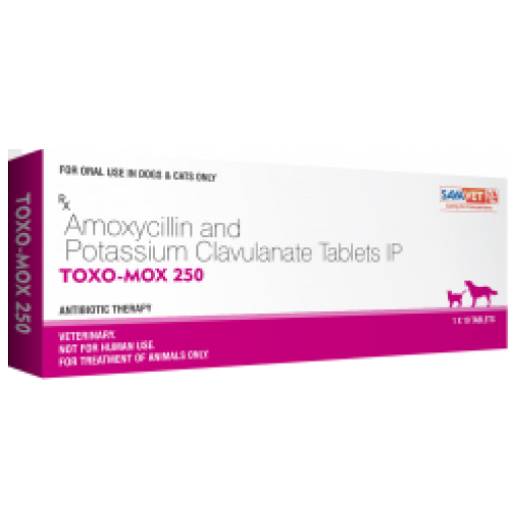 Savavet Toxo Mox (Amoxycillin) Tablets for Dogs & Cats (pack of 10 tablets) image 2