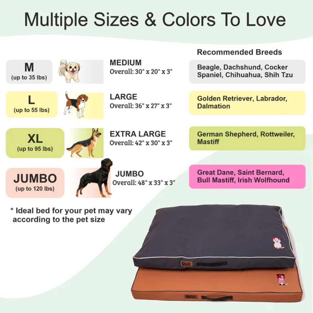 Petter World Comfort Flat Foam Bed for Dogs (Celeste Green) image 3