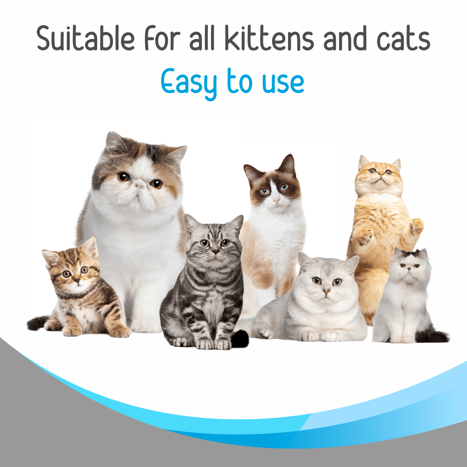 Drools Complete Care Shampoo for Cats image 6