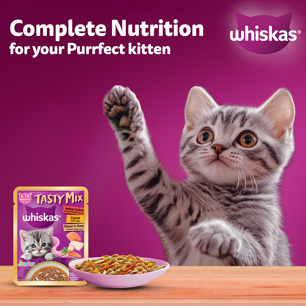 Whiskas Tasty Mix Seafood Cocktail Carrot Gravy Kitten Cat Wet Food image 10