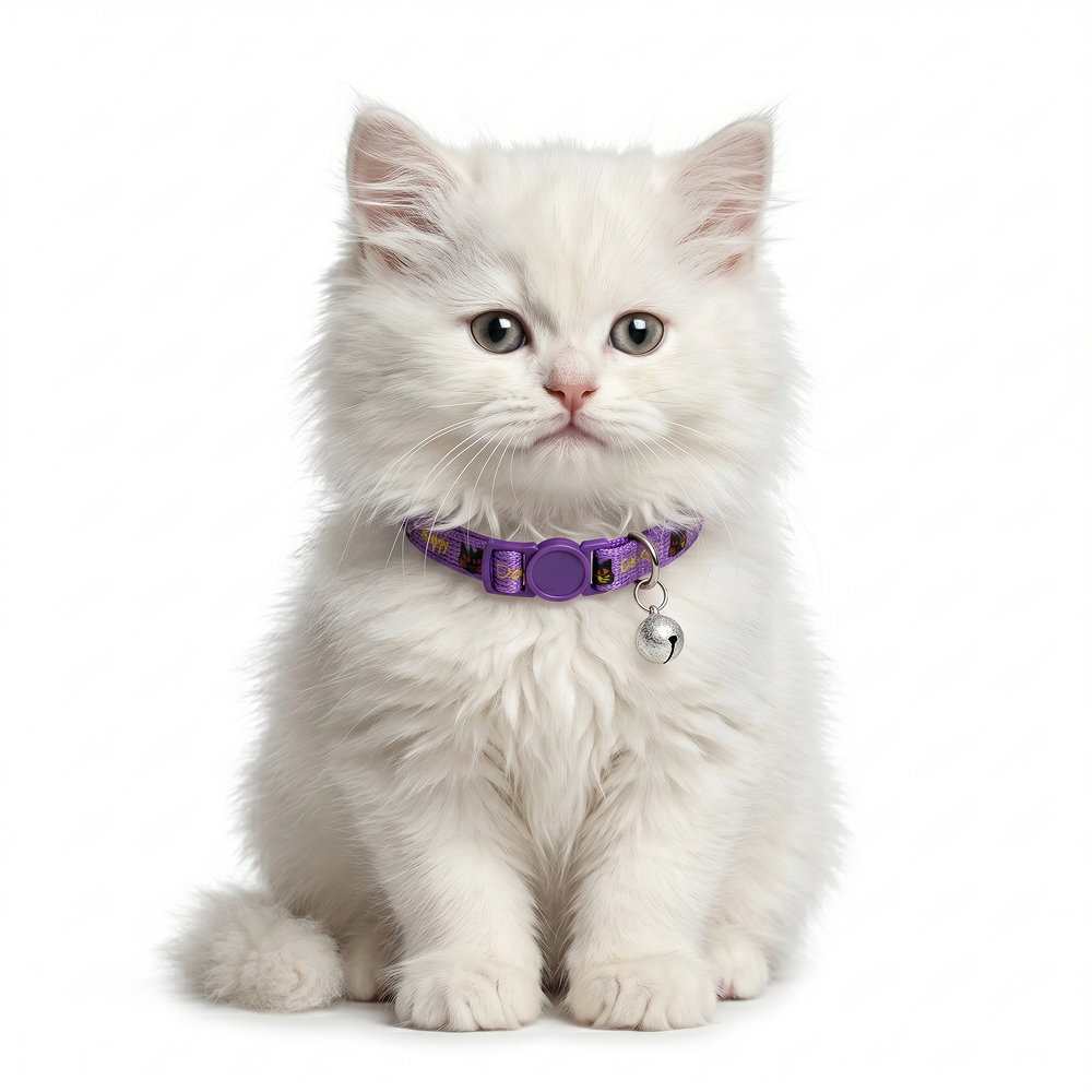 Basil Printed Collar for Cats & Puppies (Purple) image 3