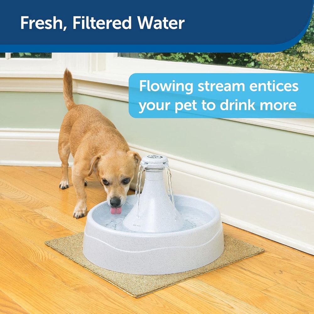 PetSafe Drinkwell 360 Pet Fountain for Dogs and Cats image 5