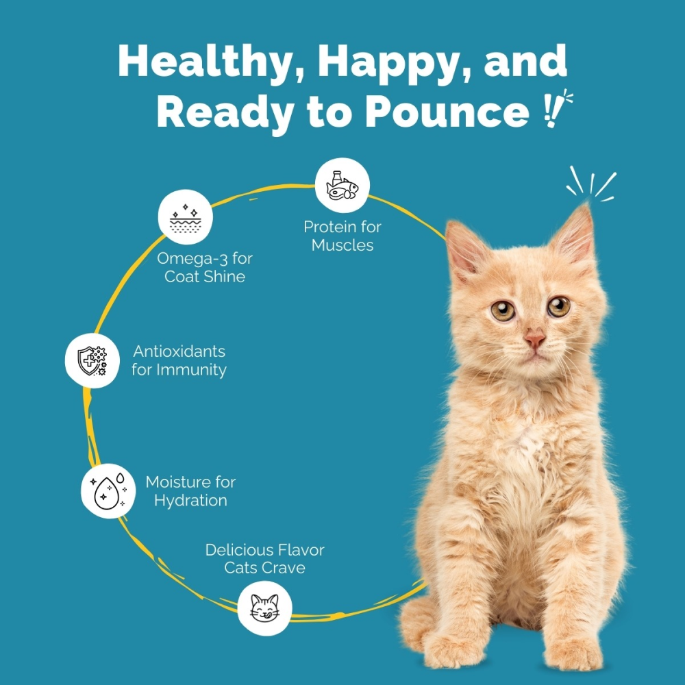 PetStrong Tuna and White Fish & Mackerel and Seaweed in Gravy Cat Wet Food Combo image 5