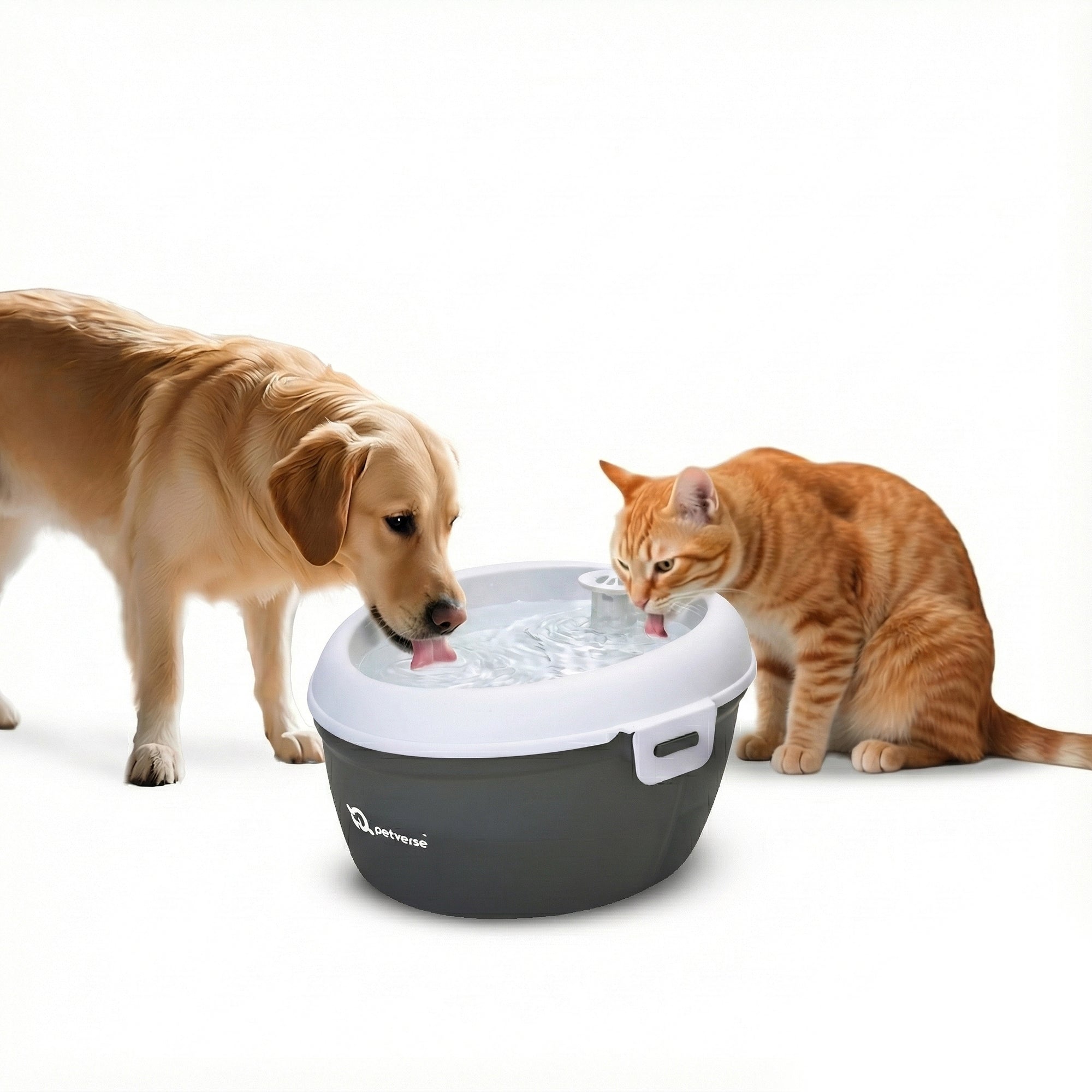 Petverse Oral Care Water Fountain for Dogs & Cats
