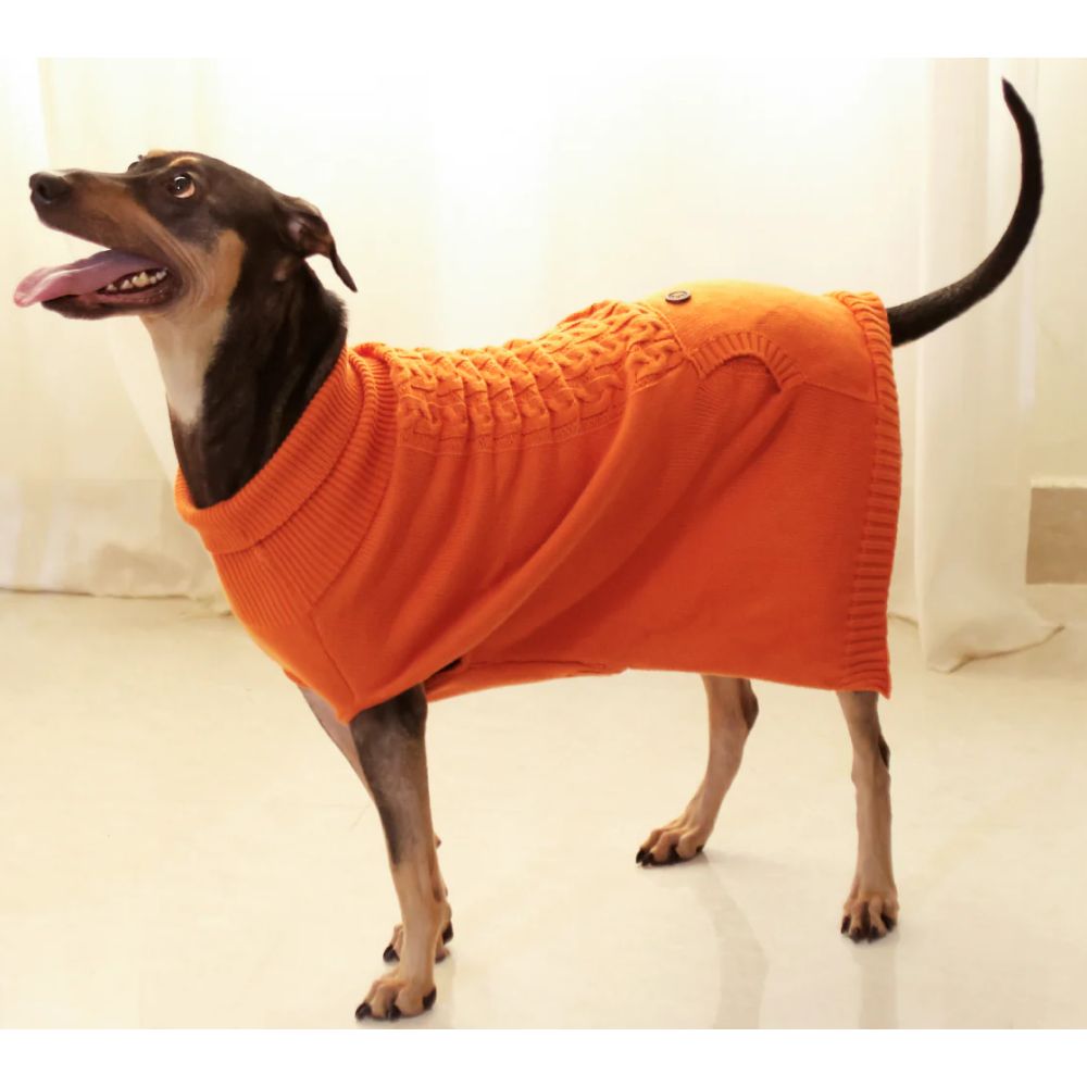 Pet Set Go Elsa's Sweater for Dogs (Orange) image 4