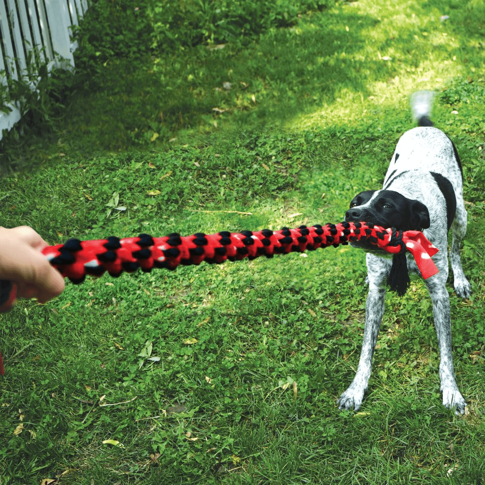 Kong Signature Rope Double Ring Tug Toy for Dogs (Red/Black) image 5