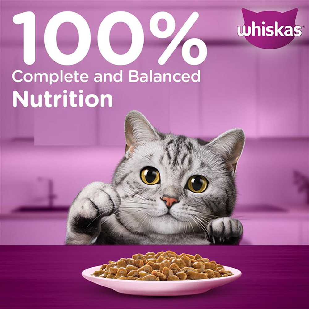 Whiskas Salmon in Gravy Meal Adult Cat Wet Food image 10