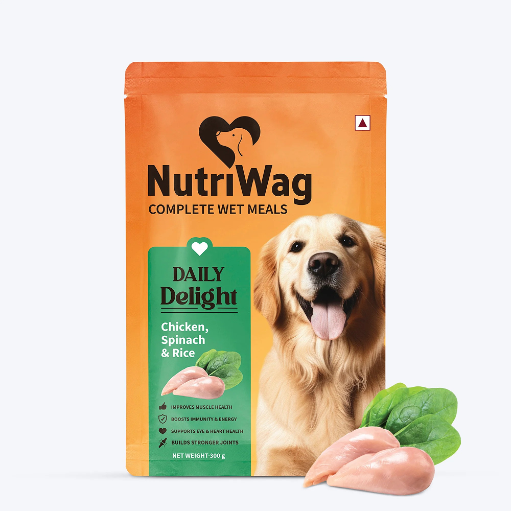 FG - NutriWag Daily Delight Chicken, Spinach & Rice Dog Wet Food