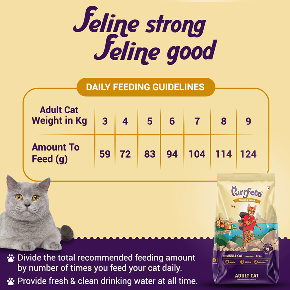 Purrfeto Chicken and Salmon Adult Cat Dry Food image 4