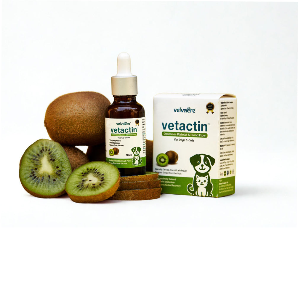 Velvaere Vetactin Syrup Optimizes Platelet & Blood Flow for Dogs & Cats (30ml)