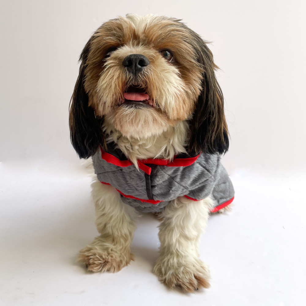 Pawgypets Reversible Quilted Jacket for Dogs and Cats (Grey/Red) image 6