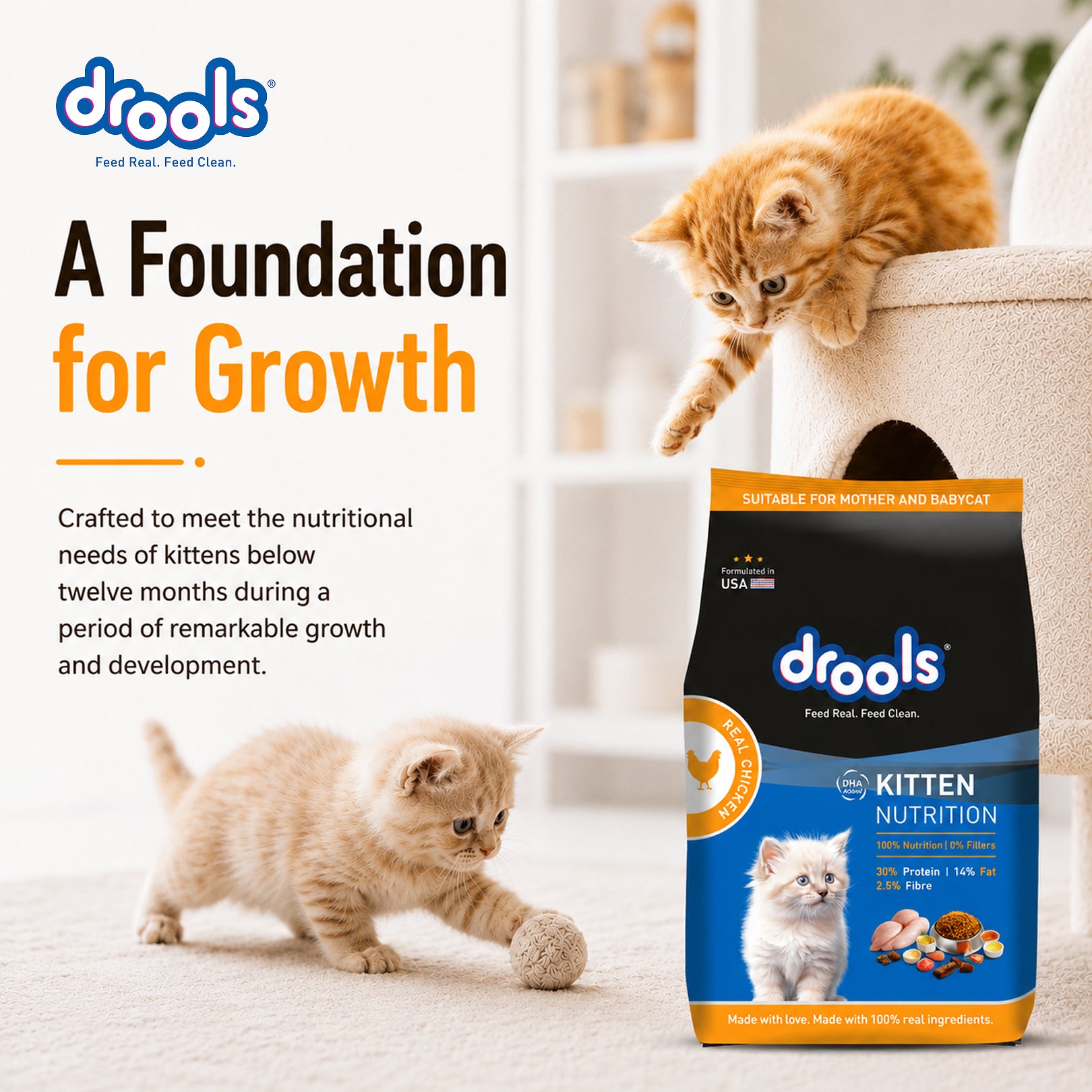Drools Real Chicken Kitten Dry Food image 2