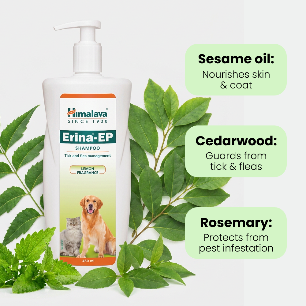 Himalaya Erina EP Tick and Flea Shampoo for Dogs and Cats image 5