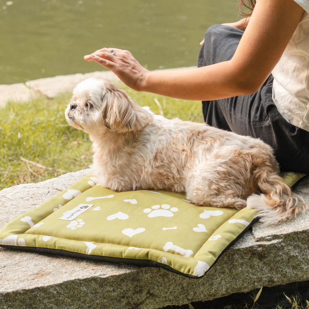 Pet Set Go Paw and Bones Heaven Mat for Dogs and Cats (Green) image 3