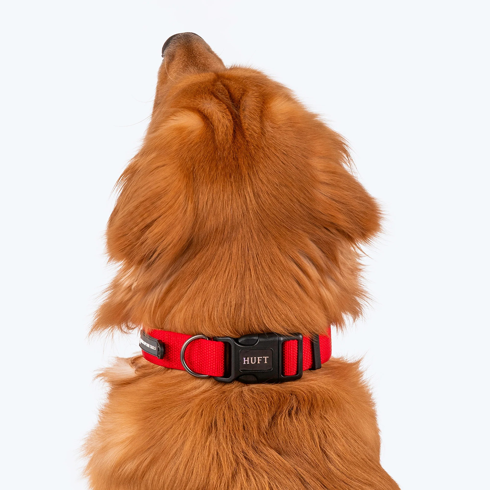 HUFT Basics Adjustable Nylon D Ring Collar for Dogs (Crimson Red) image 6