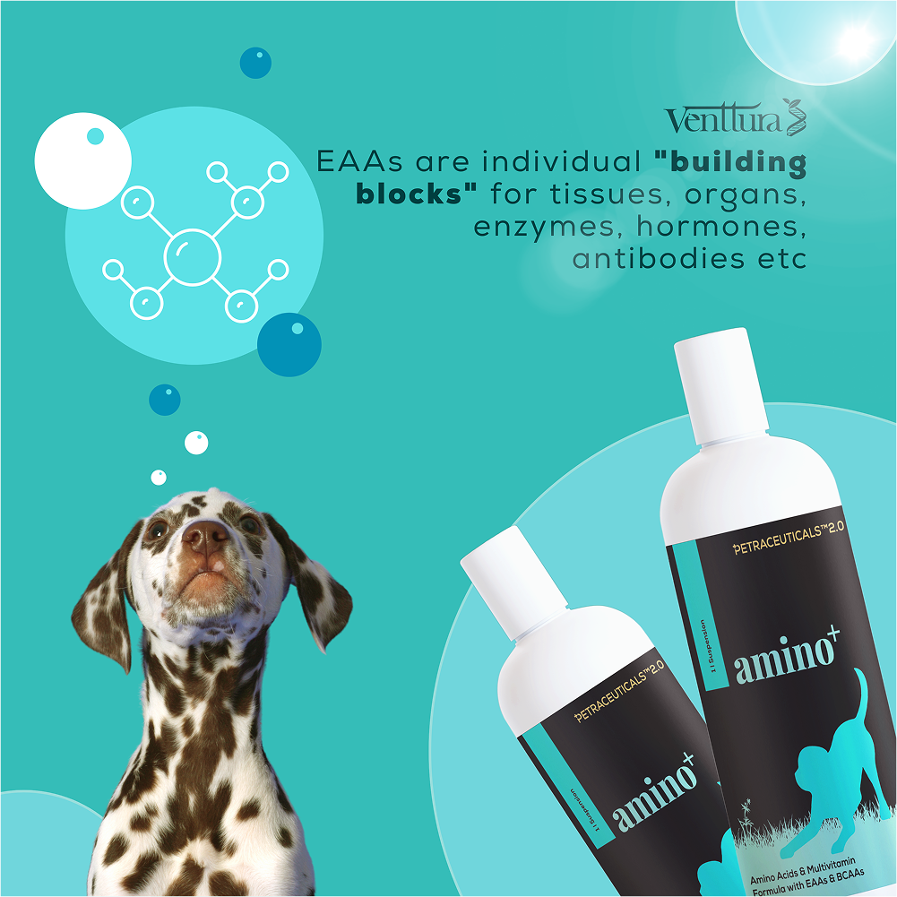 Venttura Amino Plus Syrup for Dogs image 5