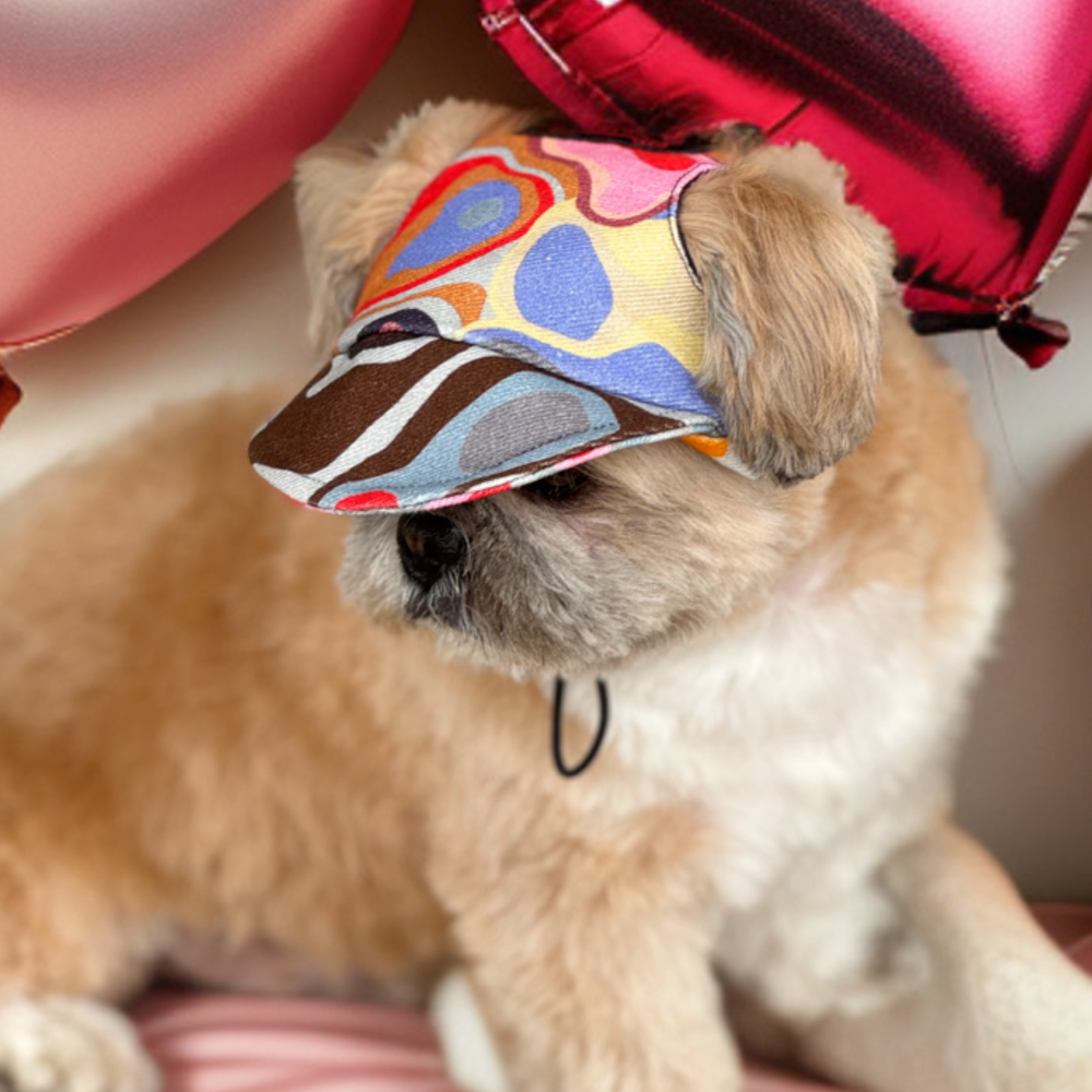 Pawgypets Cap for Dogs (Multi Color) image 1