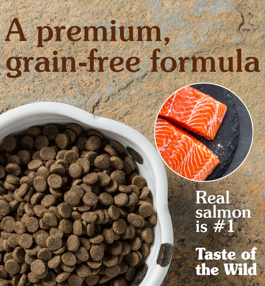 Taste of the Wild Pacific Stream Smoked Salmon Adult Dog Dry Food | Grain Free Formula image 3