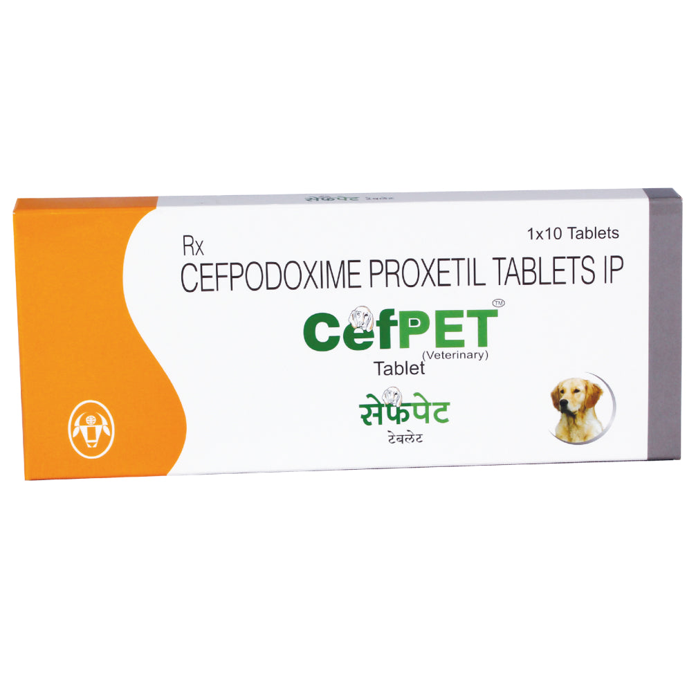 Intas Cefpet 100mg (Cefpodoxime Proxetil) Tablet for Dogs & Cats image 3