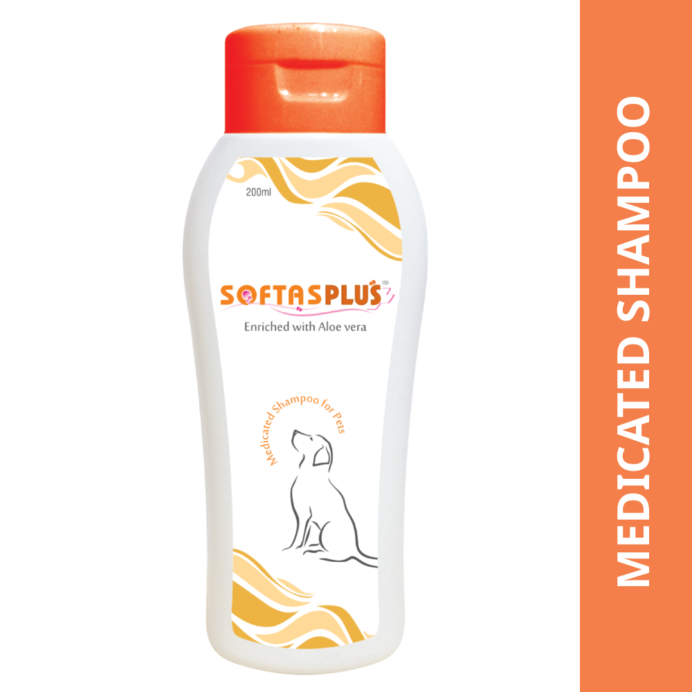 Intas Softas Plus Tick & Flea Shampoo for Dogs