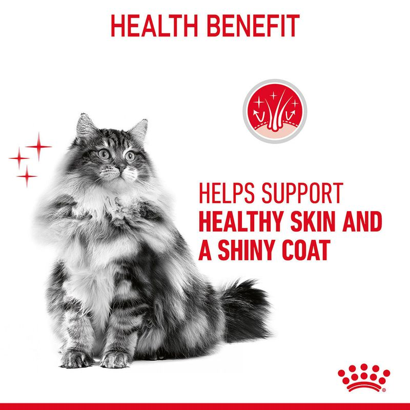 Royal Canin Hair & Skin Care Adult Gravy Cat Wet Food image 8